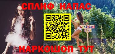 прущие грибы Комсомольск-на-Амуре